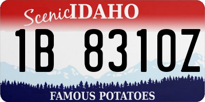 ID license plate 1B8310Z