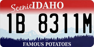 ID license plate 1B8311M