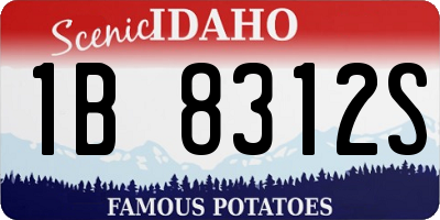 ID license plate 1B8312S