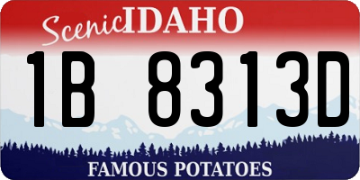 ID license plate 1B8313D
