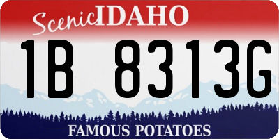 ID license plate 1B8313G