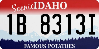 ID license plate 1B8313I