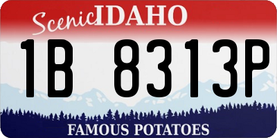 ID license plate 1B8313P