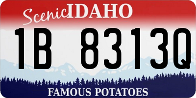 ID license plate 1B8313Q