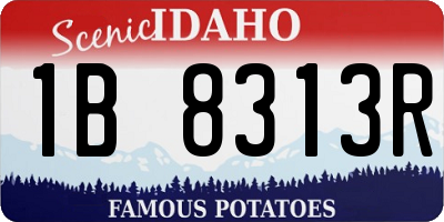ID license plate 1B8313R