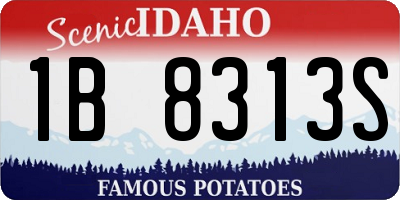 ID license plate 1B8313S