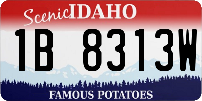 ID license plate 1B8313W