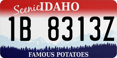 ID license plate 1B8313Z