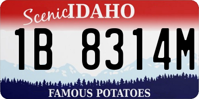 ID license plate 1B8314M