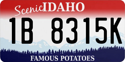 ID license plate 1B8315K