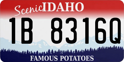 ID license plate 1B8316Q