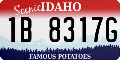 ID license plate 1B8317G