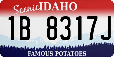 ID license plate 1B8317J