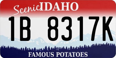 ID license plate 1B8317K