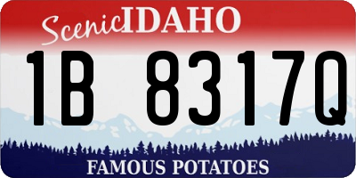 ID license plate 1B8317Q