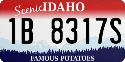 ID license plate 1B8317S