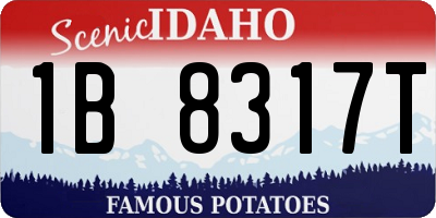 ID license plate 1B8317T