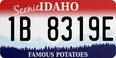 ID license plate 1B8319E