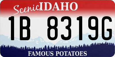 ID license plate 1B8319G