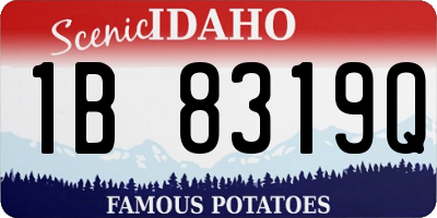 ID license plate 1B8319Q