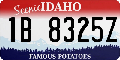 ID license plate 1B8325Z