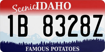 ID license plate 1B8328Z
