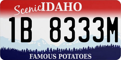 ID license plate 1B8333M