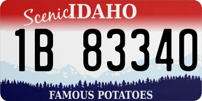 ID license plate 1B8334O