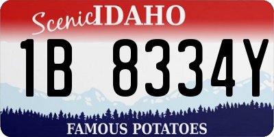 ID license plate 1B8334Y