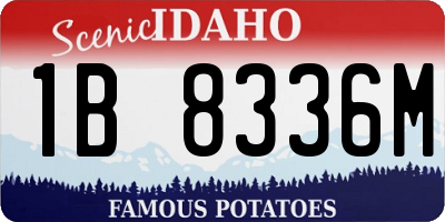 ID license plate 1B8336M