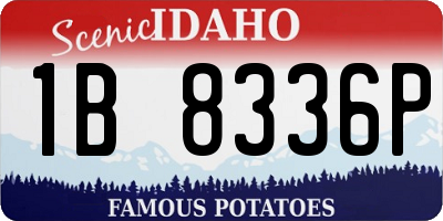 ID license plate 1B8336P