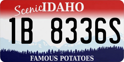 ID license plate 1B8336S