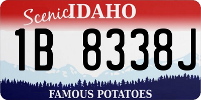 ID license plate 1B8338J
