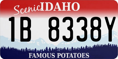 ID license plate 1B8338Y