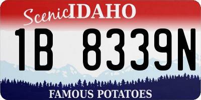ID license plate 1B8339N