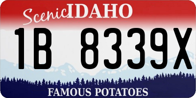 ID license plate 1B8339X