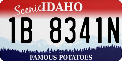 ID license plate 1B8341N