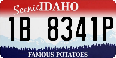 ID license plate 1B8341P