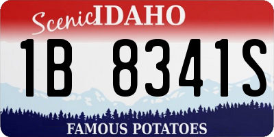 ID license plate 1B8341S