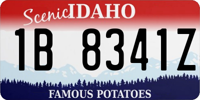 ID license plate 1B8341Z