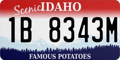 ID license plate 1B8343M