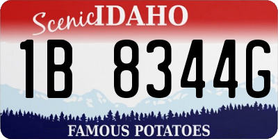 ID license plate 1B8344G