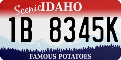 ID license plate 1B8345K