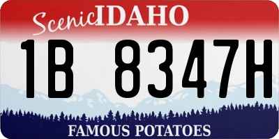 ID license plate 1B8347H