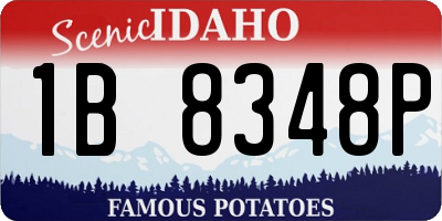 ID license plate 1B8348P