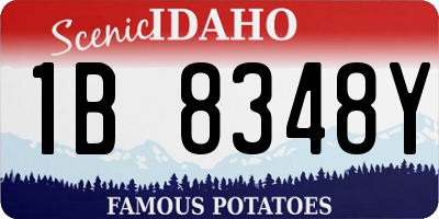 ID license plate 1B8348Y