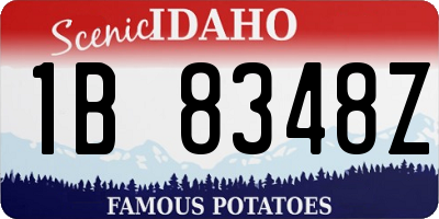 ID license plate 1B8348Z