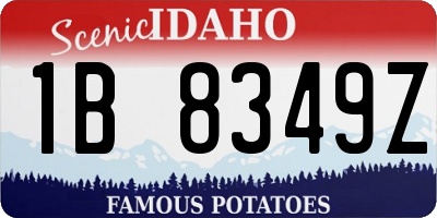 ID license plate 1B8349Z