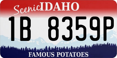 ID license plate 1B8359P