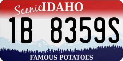 ID license plate 1B8359S